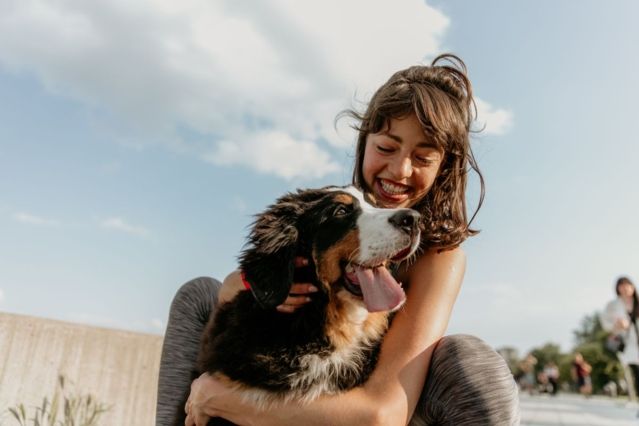Mit innovativen Proteinquellen setzt Mera neue Maßstäbe in der Hundeernährung